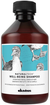 Зволожуючий шампунь для всіх типів волосся Davines Natural Tech Well Being Shampoo фото