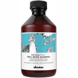 Увлажняющий шампунь для всех типов волос Davines Natural Tech Well Being Shampoo фото