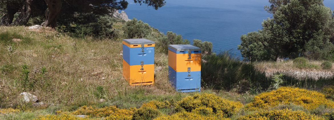 Интернет-магазин Avocado - ☎(050) 337-98-94. Косметика Apivita ✓Акции ✓Подарки ✓Доставка по Киеву в День Покупки ✓Бесплатная Доставка по Украине